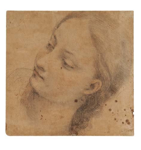 FRANCESCO VANNI (Siena 1565-1609 Siena) A Stud