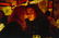 NAN GOLDIN (1953 - ) Lynette and Donna at Marion's