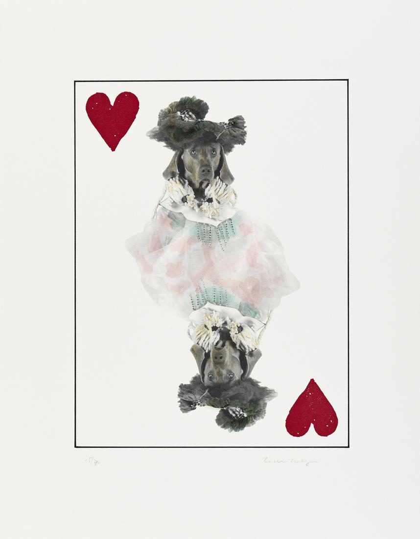 WILLIAM WEGMAN Royal Flush: Hearts.: WILLIAM WEGMAN Royal Flush: Hearts. Suite of 5 color photolithographs, 1998. 438x328 mm; 17¼x13 inches, full margins. Each signed and numbered 18/40 in pencil, lower margin. Published by Segura P