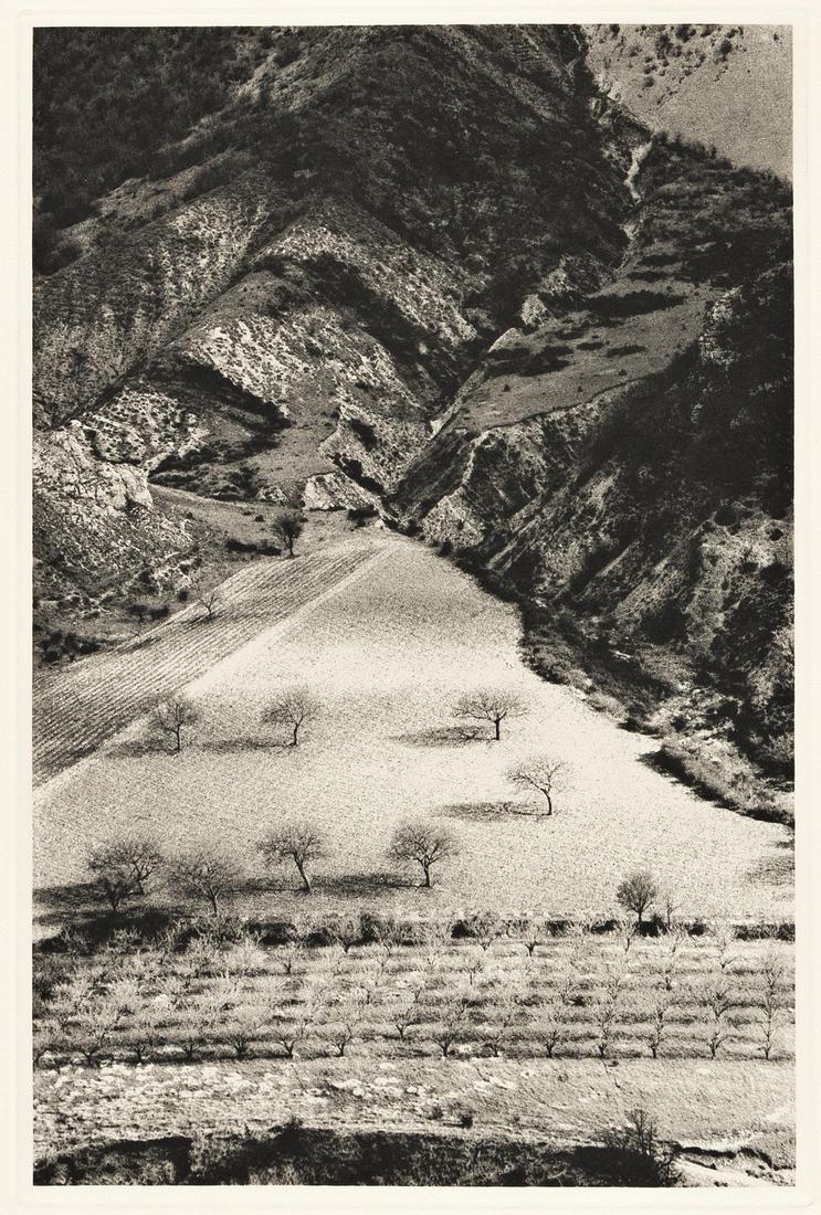 (LIMITED EDITIONS CLUB.) Giono, Jean. The Man Who: (LIMITED EDITIONS CLUB.) Giono, Jean. The Man Who Planted Trees. 5 photogravure plates by Martine Franck (wife of Henri Cartier-Bresson). Folio, ½ gilt-stamped morocco and Mexican tree bark over 