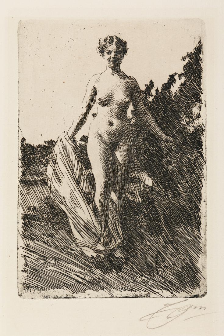 ANDERS ZORN Summer. (1 of 1)