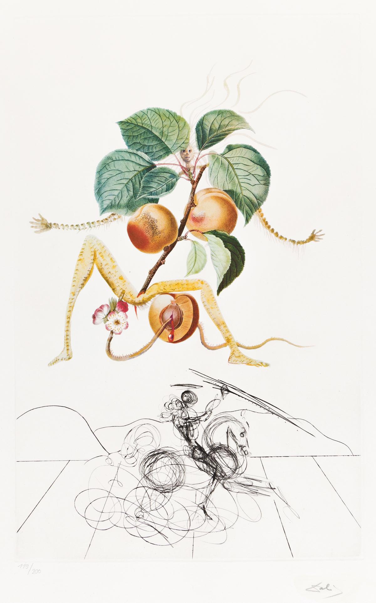 SALVADOR DALÍ Abricot chevalier. (1 of 1)