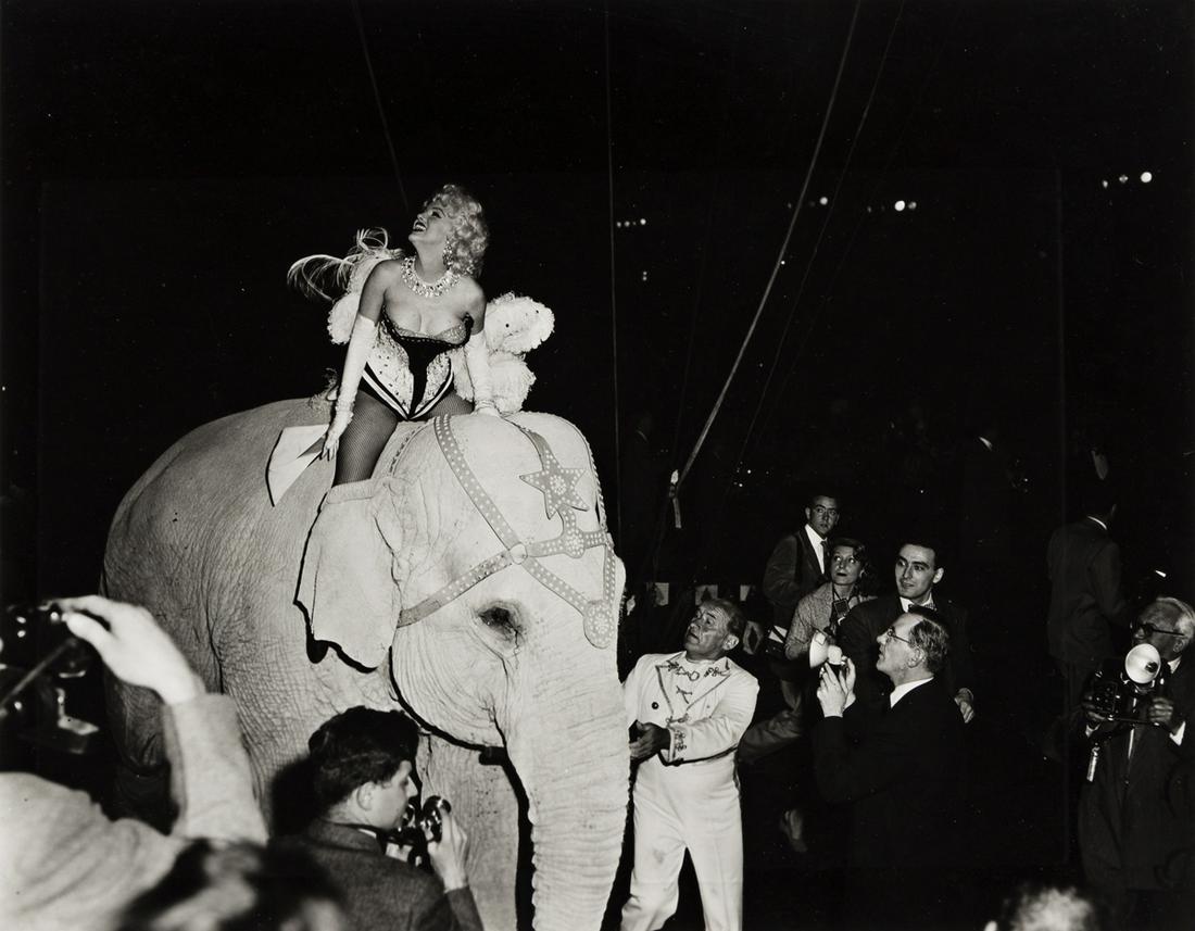 MILTON GREENE (1922-1985) Marilyn Monroe riding a pink: MILTON GREENE (1922-1985) Marilyn Monroe riding a pink elephant at Madison Square Garden. Silver print, the image measuring 14x18 inches (35.6x45.7 cm.) , the sheet 16x20 inches (40.6x50.8 cm.) , with