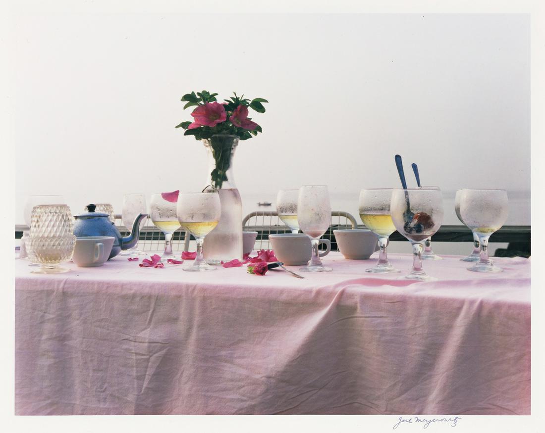 JOEL MEYEROWITZ. A Summer's Day.: JOEL MEYEROWITZ. A Summer's Day. Beautifully illustrated with 65 color reproductions of Meyerowitz's photographs. 4to, calf-backed blue boards, front cover bowed; buckram slipcase. DELUXE EDITION ISSU