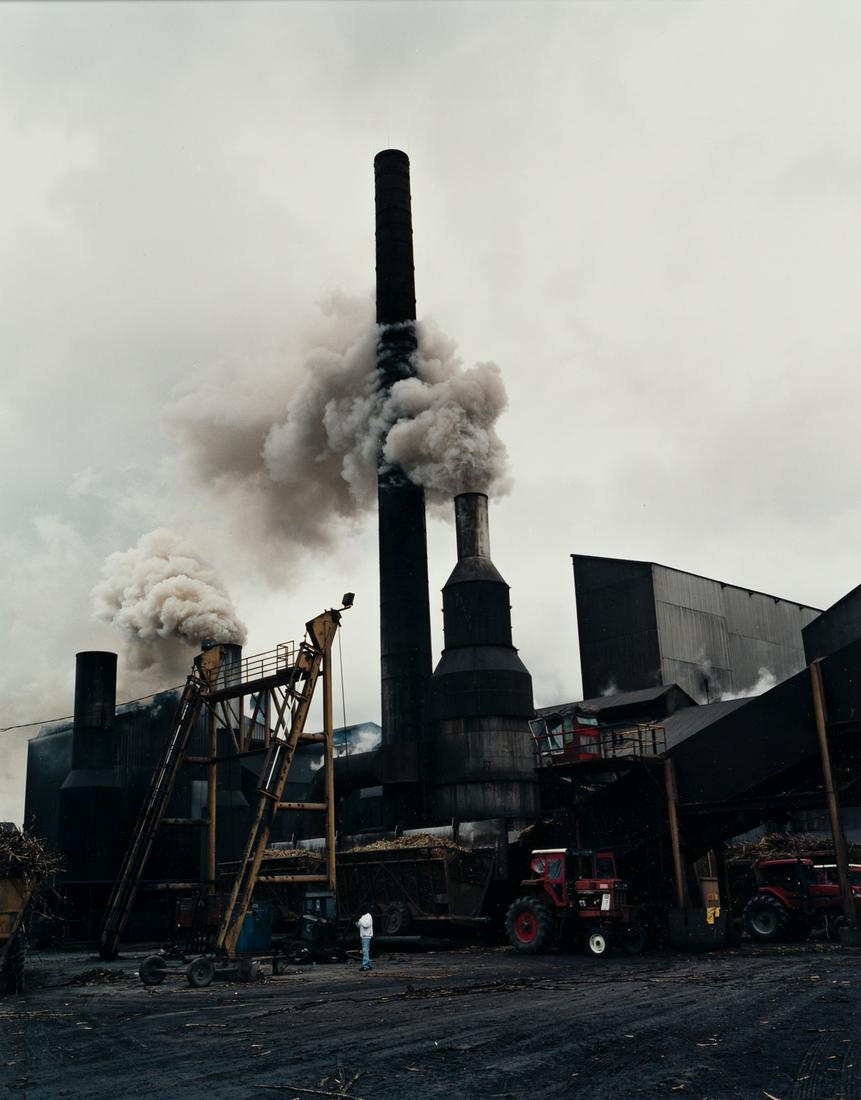 CATHERINE OPIE (1961- ) Untitled #12.: CATHERINE OPIE (1961- ) Untitled #12. Chromogenic print, the image measuring 19x15 inches (48.6x38.4 cm.) , the sheet 20x16 inches (50.8x40.6 cm.) , the aluminum mount 24¼x20¼ inches (61.6x5