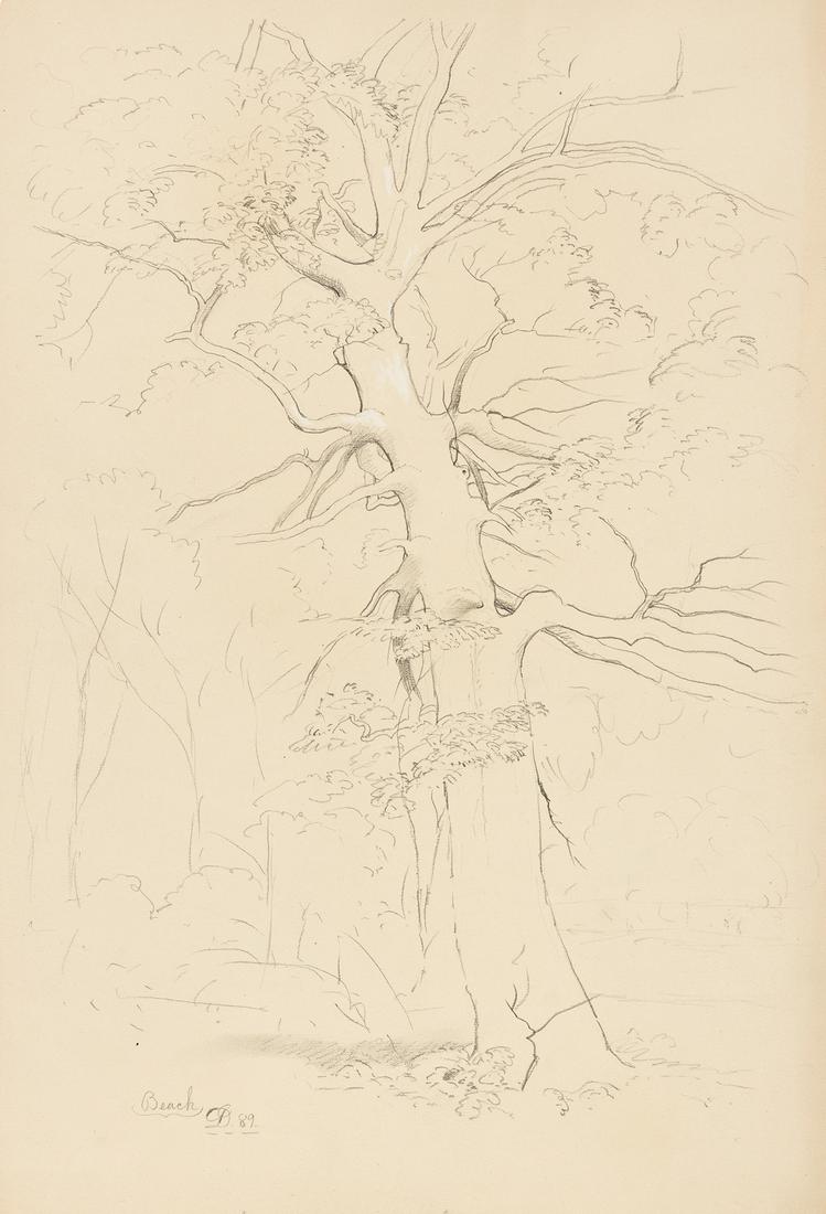 DAVID JOHNSON Two pencil landscape drawings. (1 of 2)