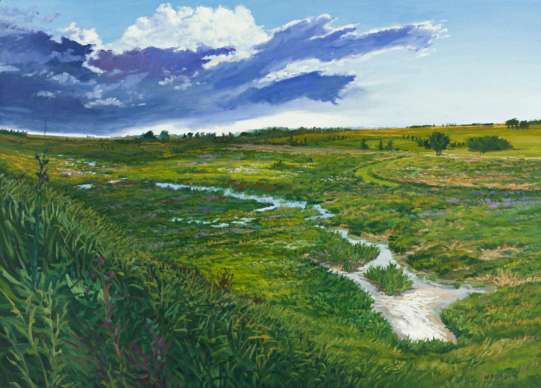 WILLIAM C. BARRON Prairie Restoration. (1 of 2)