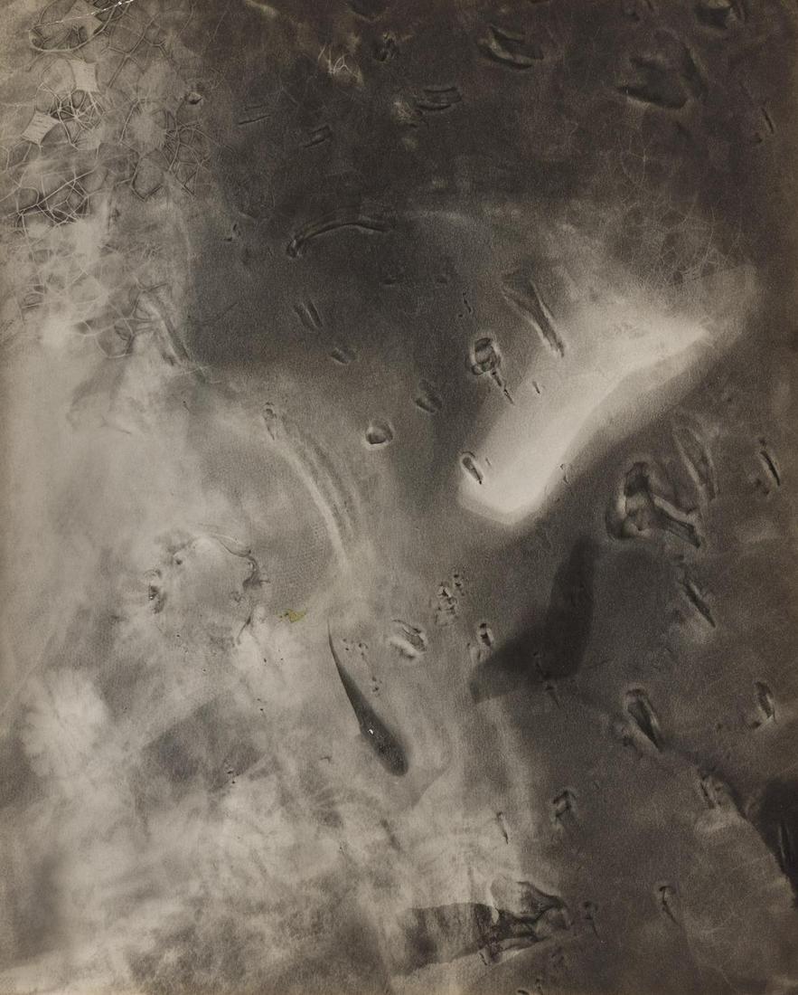 THEODORE ROSZAK (1907-1981) Untitled photogram. (1 of 1)