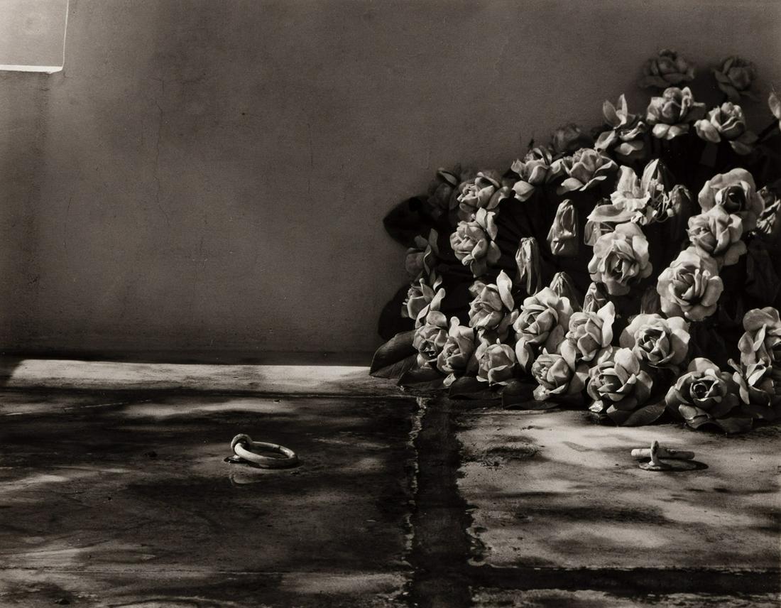 MINOR WHITE (1908-1976) Rings and Roses, Ponce, Puerto (1 of 1)