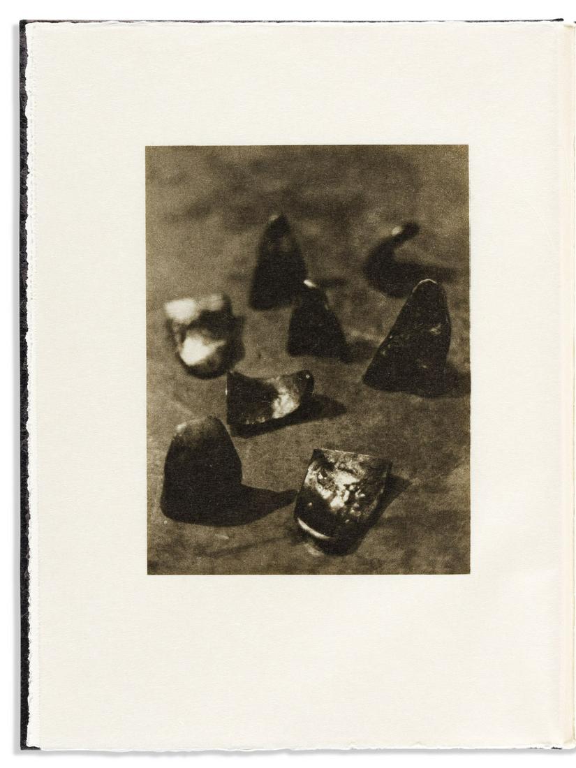 DRAKE, JAMES. Tongue Cut Sparrows.: DRAKE, JAMES. Tongue Cut Sparrows. Images printed with "waterless lithography" on Arches or Mulberry tissue, including one folding; printed by Jeffrey Ryan. Folio, publisher's pictorial boards, light