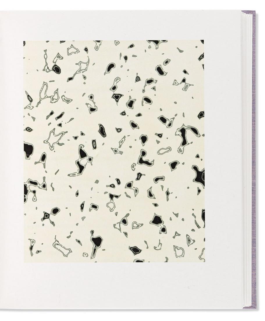 LETHBRIDGE, JULIAN. What the End is For.: LETHBRIDGE, JULIAN. What the End is For. By Jorie Graham. Introduction by Helen Vendler. With 16 relief prints (in color) by Julian Lethbridge. 4to, publisher's lavender cloth; matching slipcase. Numb