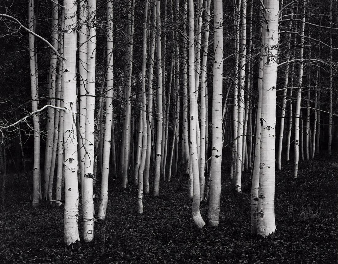 JOHN SEXTON (1953-) Group of 7 photographs, comprising: JOHN SEXTON (1953-) Group of 7 photographs, comprising of 3 landscapes, 2 time exposures, one interior, and one facade. Silver prints, the images measuring 5¼x9 to 10x12½ inches (13.3x22.9 t