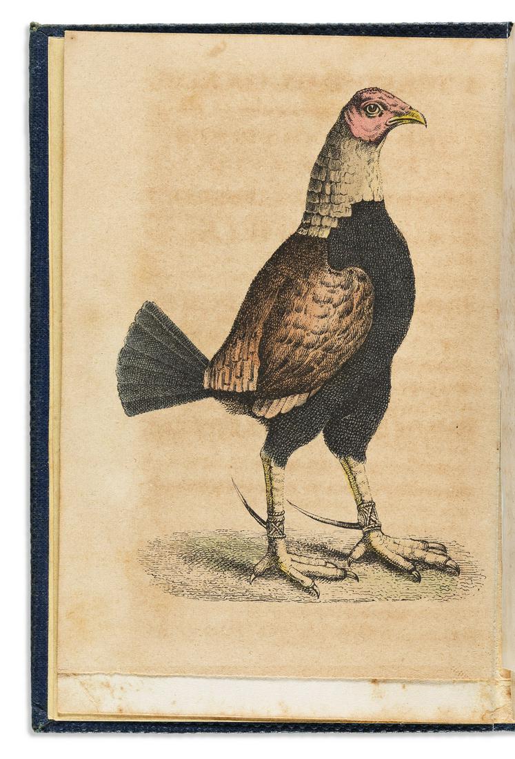 (SPORTS--COCKFIGHTING.) J.W. Cooper. A Treatise on Cocking, Giving a History of the Various Breeds: (SPORTS--COCKFIGHTING.) J.W. Cooper. A Treatise on Cocking, Giving a History of the Various Breeds of Imported and American Game Fowls. Hand-colored frontispiece plate. 96 pages. 16mo, publisher's gil