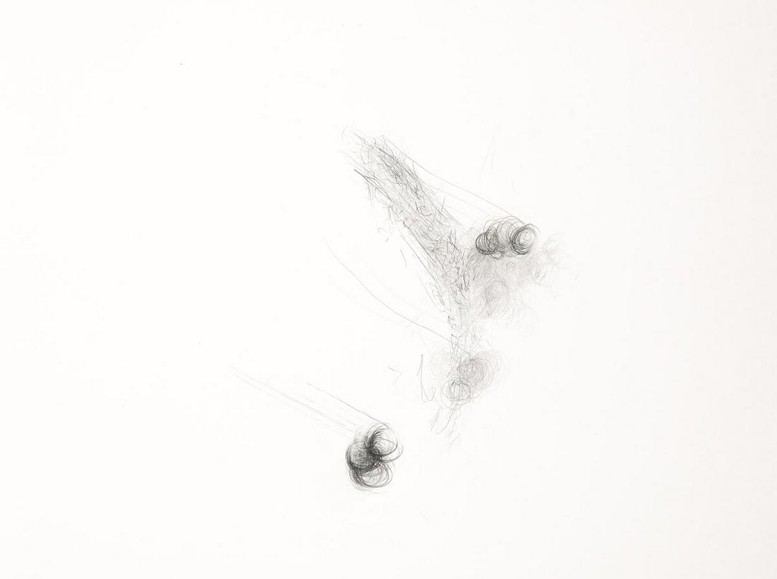 ALAN SARET Prajapati's Dropped Seed Cast-In.: ALAN SARET Prajapati's Dropped Seed Cast-In. Pencil on Arches 88 paper, 1983. 570x765 mm; 22½x30 inches. Signed, titled, annotated and dated in pencil, verso.Provenance: Private collection, New J