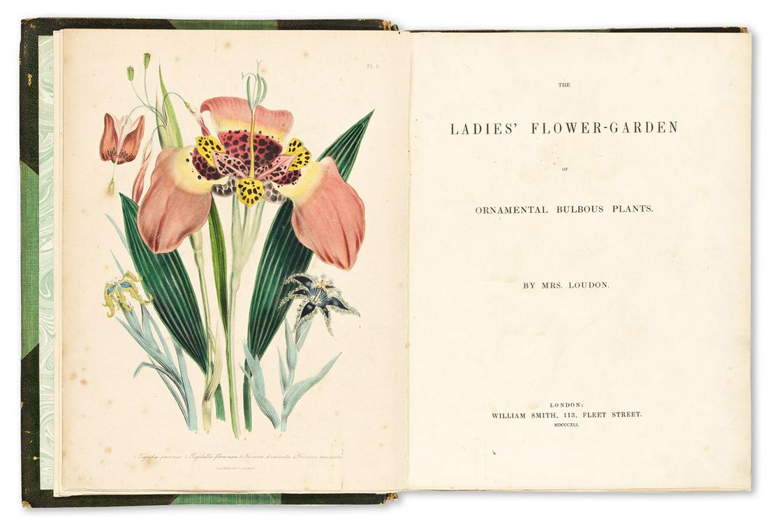 Loudon, Jane Wells Webb (1807-1858) The Ladies' Flower Garden of: Ornamental Bulbous Plants [and] (1 of 2)
