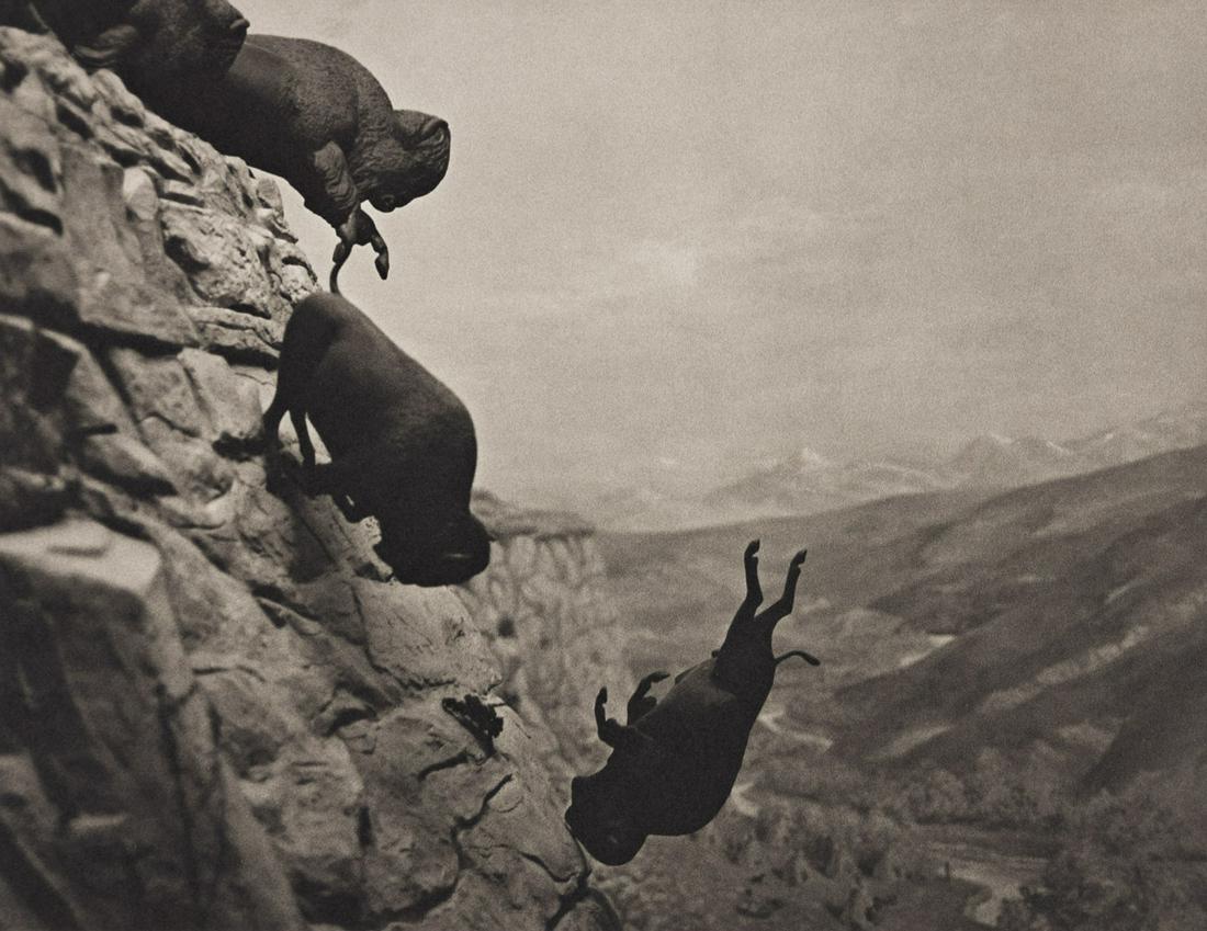 DAVID WOJNAROWICZ (1954-1992) Untitled (Buffaloes).: DAVID WOJNAROWICZ (1954-1992) Untitled (Buffaloes). Platinum print on rag paper, the image measuring 270x352.4 mm; 10x13 inches, the sheet 406.4x508 mm; 16x20 inches, with the Wojnarowicz Estate stamp