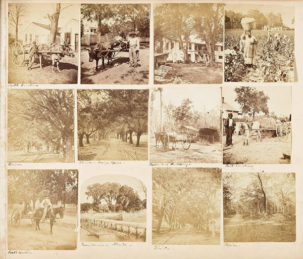 (african Americans) Leaf With 12 Photographs Of The Black Community In