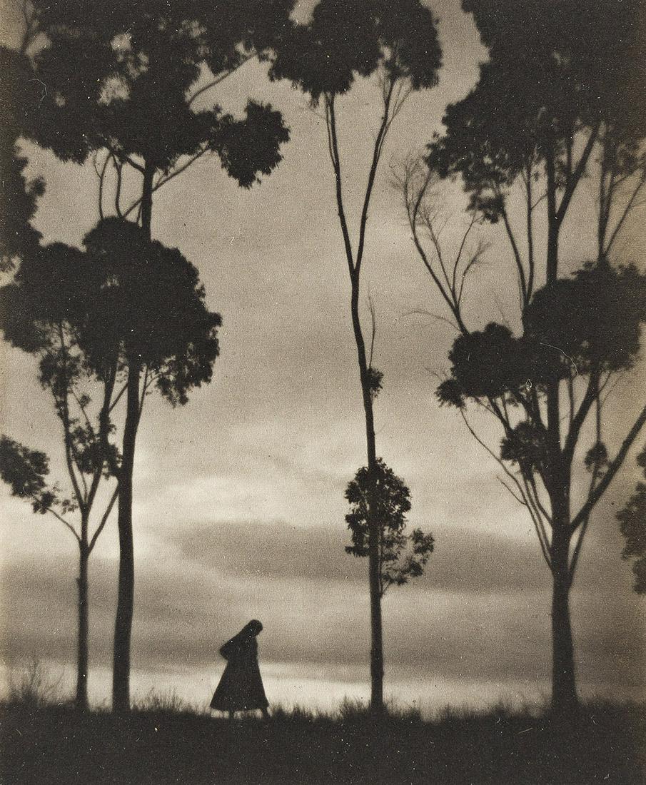 KARL STRUSS (1886-1981) In the wind, California.: KARL STRUSS (1886-1981) In the wind, California. Platinum palladium print, the image measuring 4½x3 inches (11.4x9.2 cm.), the mount 12x9 inches (30.5x22.9 cm.), with Struss' signature in pencil