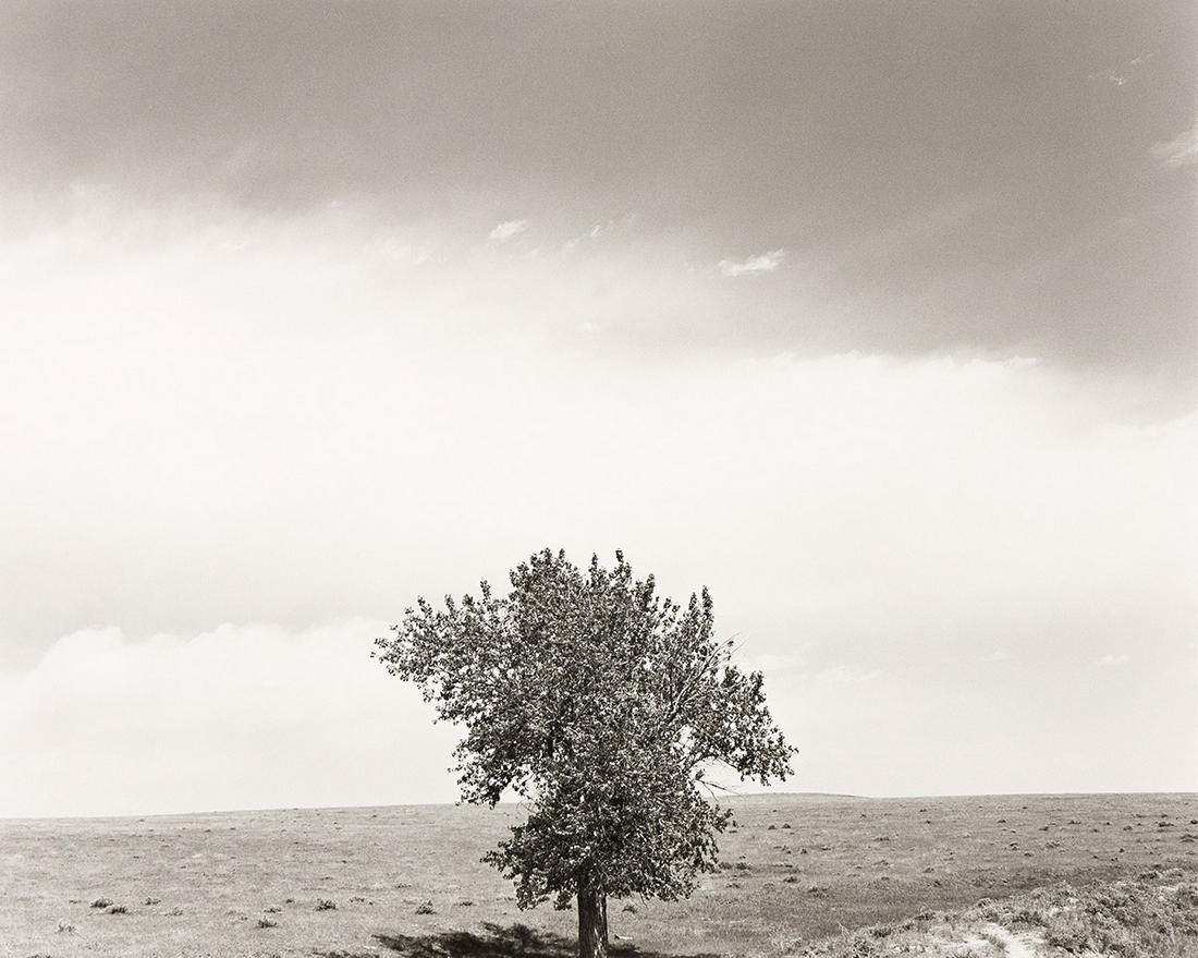 ROBERT ADAMS (1937- ) Pawnee National Grassland, Colorado.: ROBERT ADAMS (1937- ) Pawnee National Grassland, Colorado. Silver print, the image measuring 9x11 inches (22.9x28.3 cm.), the sheet 11x14 inches (27.9x35.6 cm), with Adams’ signature, title, and