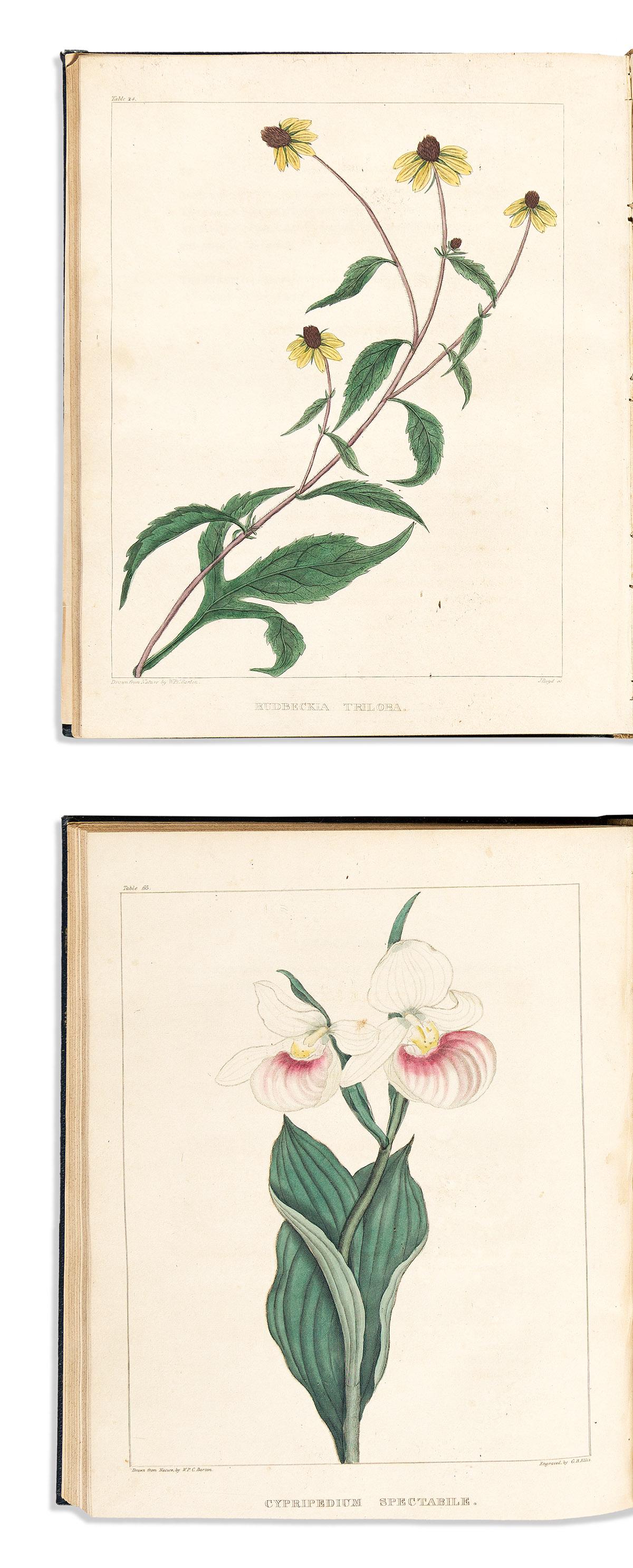 (BOTANICAL.) William Barton. A Flora of North America. Illustrated by Coloured Figures, Drawn from: (BOTANICAL.) William Barton. A Flora of North America. Illustrated by Coloured Figures, Drawn from Nature. Half-titles, title-pages, and 102 (of 106) hand-colored stipple and engraved plates, some fol