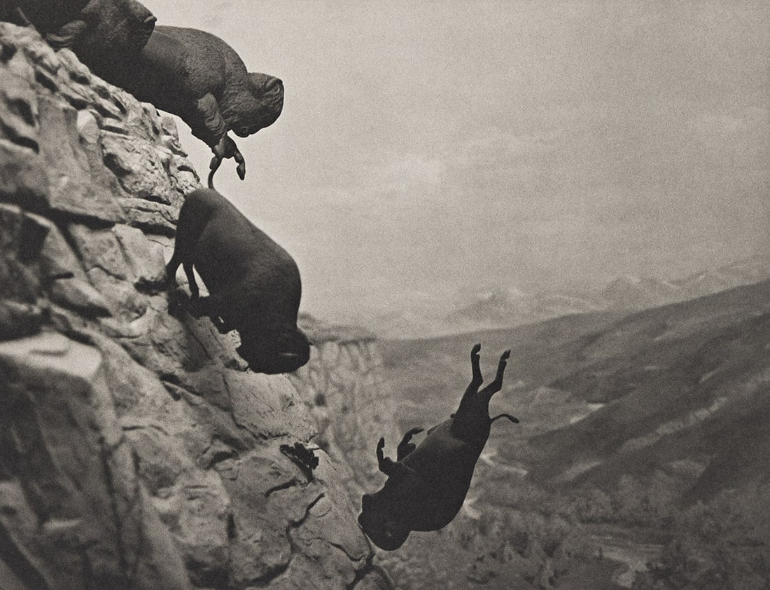DAVID WOJNAROWICZ (1954-1992) Untitled (Buffaloes).: DAVID WOJNAROWICZ (1954-1992) Untitled (Buffaloes). Platinum print, the image measuring 254x352 mm; 10½x13 inches, the sheet 406x505 mm; 16x19 inches, with Wojnarowicz's Estate stamp and edition