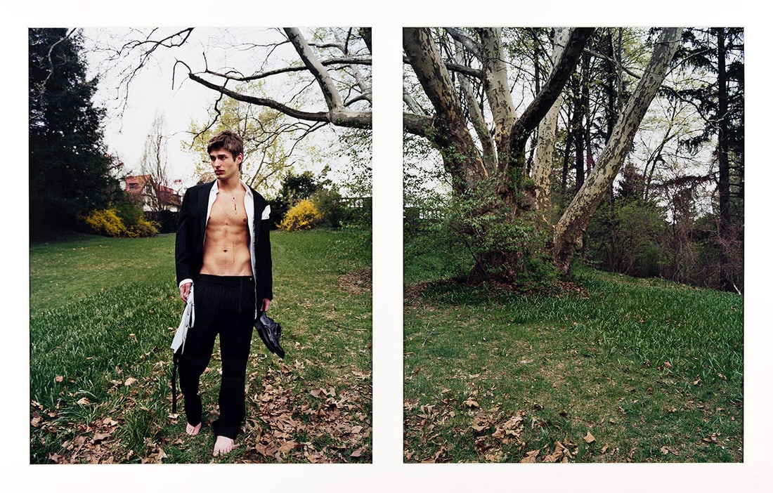 DAVID HILLIARD (1964 - ) Paul Coerced, a diptych. (1 of 3)