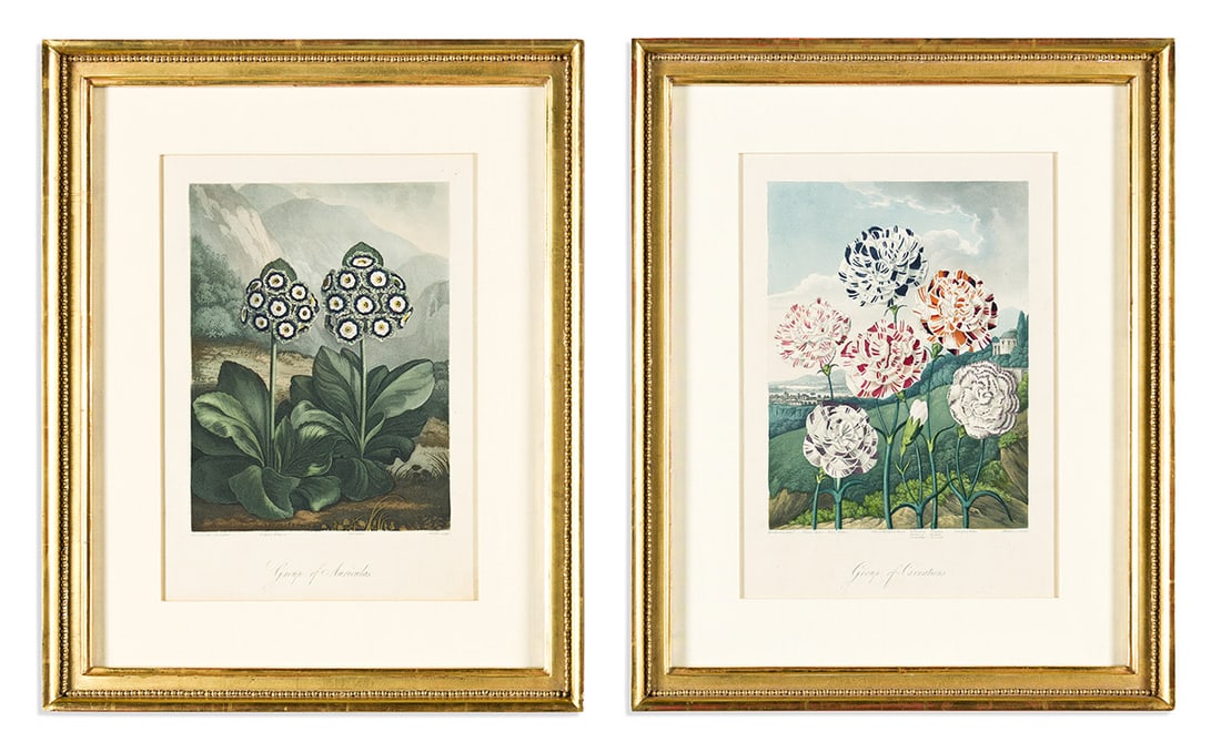 (BOTANICAL.) Dr. Robert John Thornton. Group of 14 uniformly framed plates from the quarto edition (1 of 7)