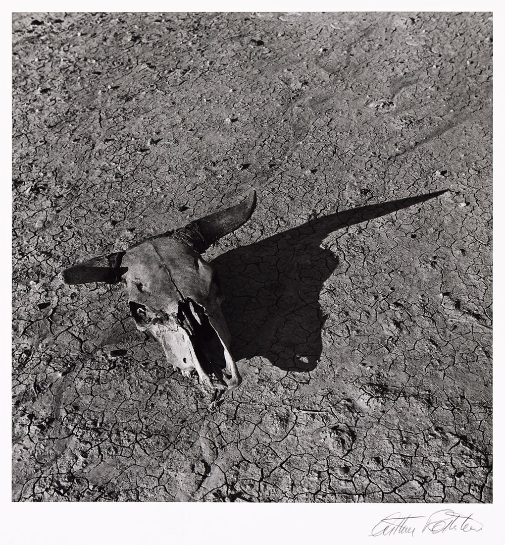 ARTHUR ROTHSTEIN (1915-1985) The Bleached Skull of a Steer on the Dry Sunbaked Earth: The Bleached Skull of a Steer on the Dry Sunbaked Earth of the South Dakota Bad Lands. Silver print, the image measuring 229x222 mm; 9x8¾ inches, the sheet 356x279 mm; 14x11 inches, with Rothstei