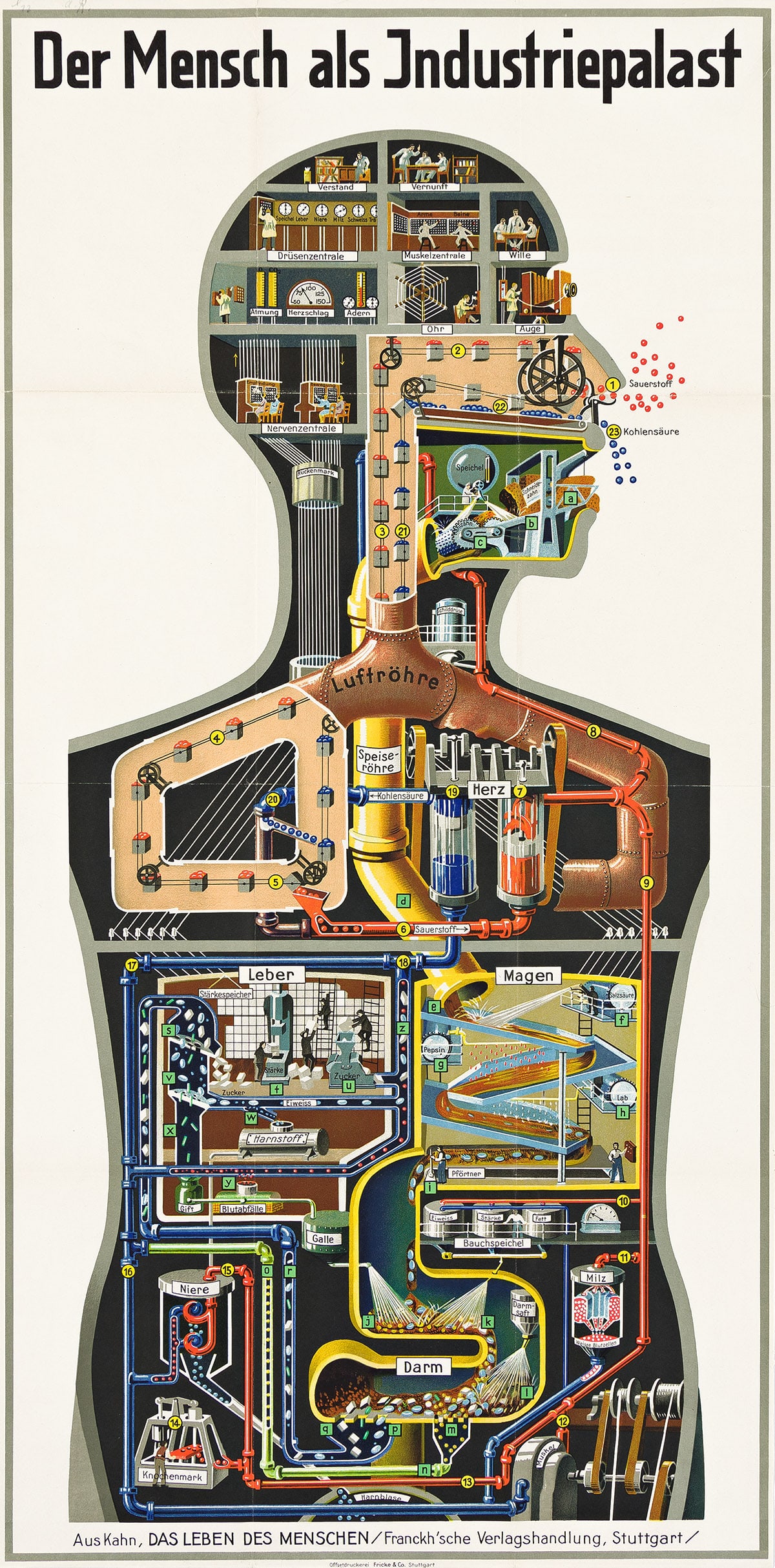 FRITZ KAHN (1888-1968) DER MENSCH ALS INDUSTRIEPALAST. 1926. (1 of 1)