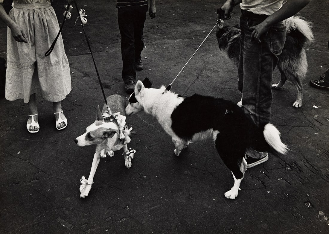 W. EUGENE SMITH (1918-1978) Two dogs at pet show.: W. EUGENE SMITH (1918-1978) Two dogs at pet show. Silver print, the image measuring 9⅝x13½ inches (24.4x34.3 cm.), the mount 20x16 inches (50.8x40.6 cm.), with Smith's printing notations in