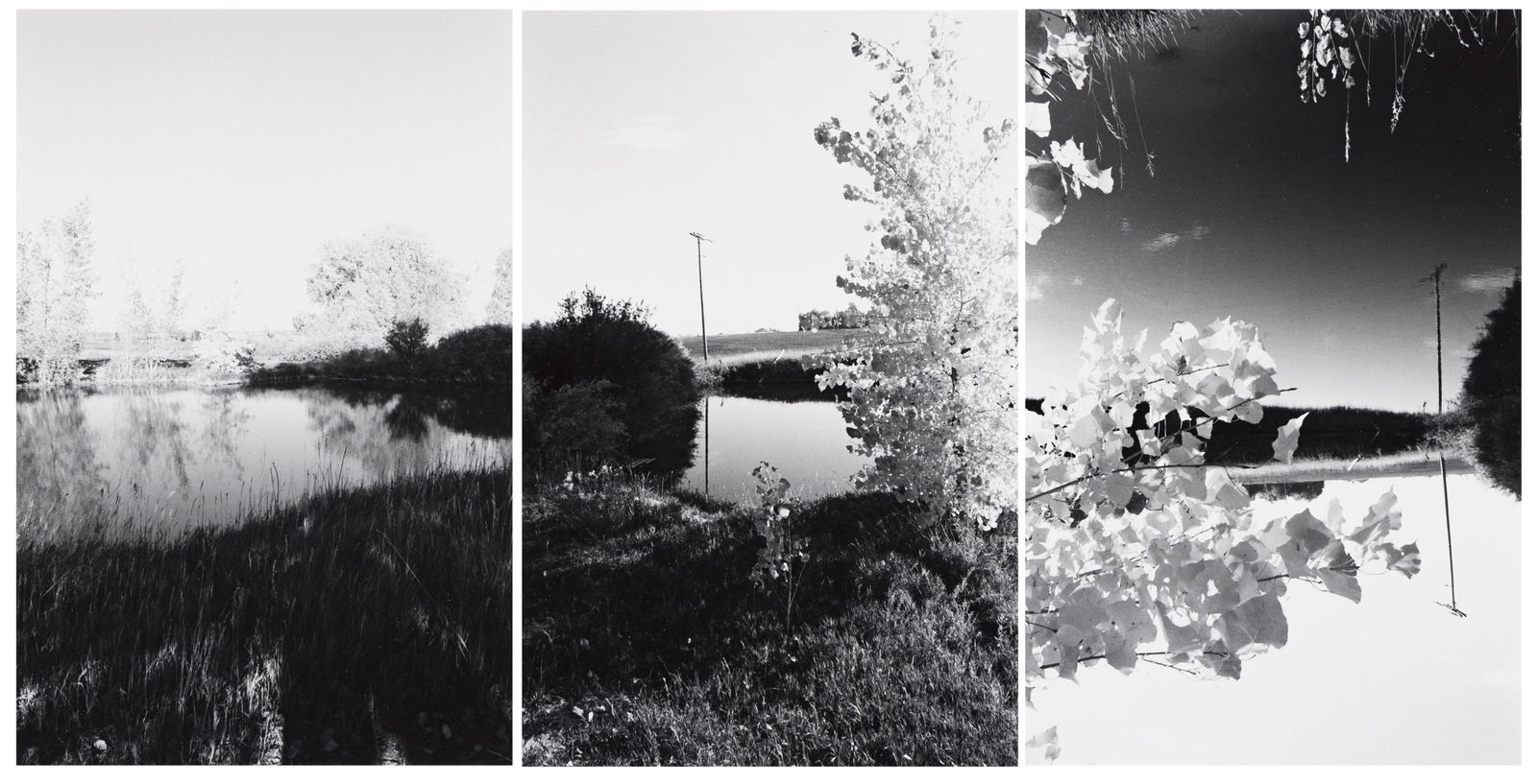 ROBERT ADAMS (1937- ) Listening to the River, a triptych.: ROBERT ADAMS (1937- ) Listening to the River, a triptych. Together, 3 silver prints, the images measuring 7⅞x5⅛ inches (20x13 cm.), the sheets 14x11 inches (35.6x27.9 cm.), each with Adams