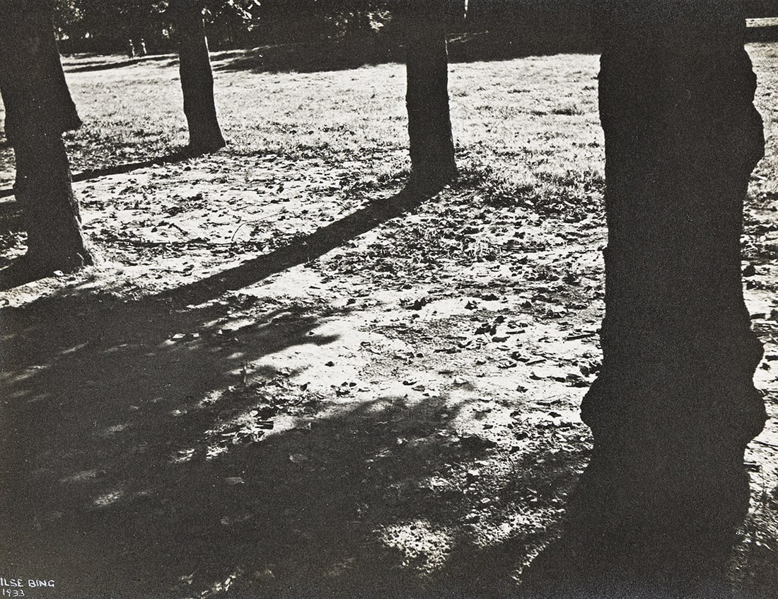 ILSE BING (1899-1998) Blérancourt Tree Shadows.: ILSE BING (1899-1998) Blérancourt Tree Shadows. Silver print, the image measuring 8½x11 inches (21.6x27.9 cm.), the mount 13¾x16¾ inches (34.9x42.6 cm.), with Bing's signature and