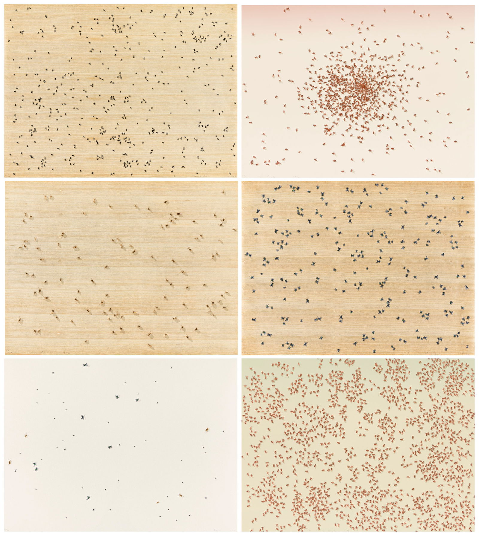 ED RUSCHA Insects.: ED RUSCHA Insects. Portfolio with complete text and 6 color screenprints on paper-backed wood veneer and Fabriano Classico glazed-finish watercolor papers, 1972. 511x686 mm; 20⅛x27 inches (sheet