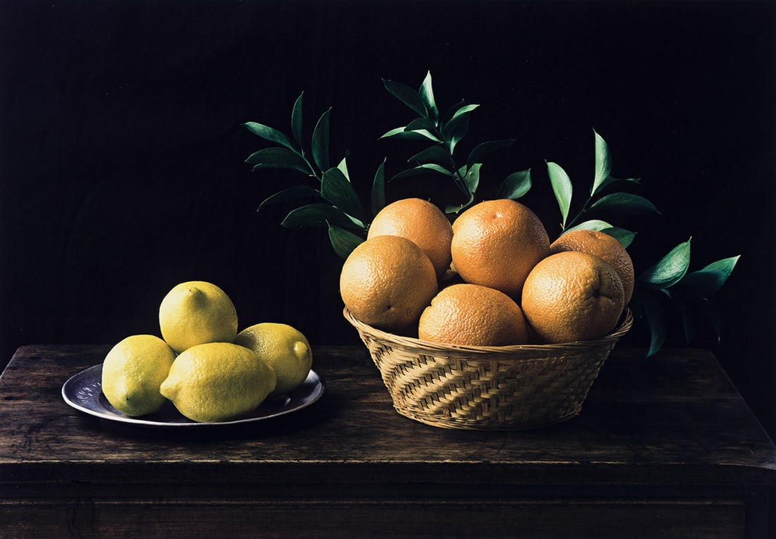 EVELYN HOFER (1922-2009) Still Life No. 6 "Hommage à Zurbarán." 1997. (1 of 1)