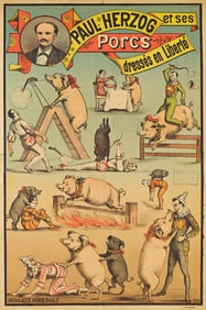 DESIGNER UNKNOWN. PAUL HERZOG ET SES PORCS / DRESSÉS EN LIBERTÉ. 27½x18¼ inches,