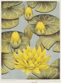 ALEXANDER PATRICK FLEMING (1908 - 1983) Water Lilies.