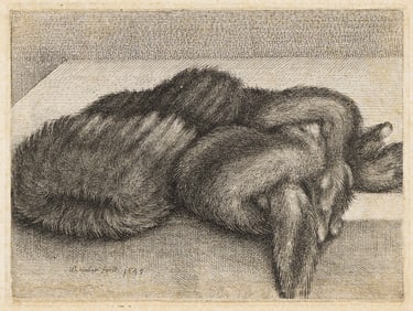 WENZEL HOLLAR (1607 - 1677) Muff and a Fur Stole on a Table.