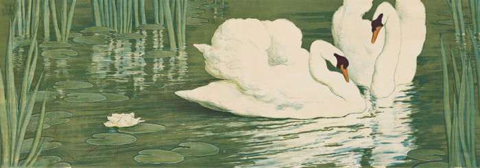 ALFREDO MÜLLER (1869 - 1939) Swans.