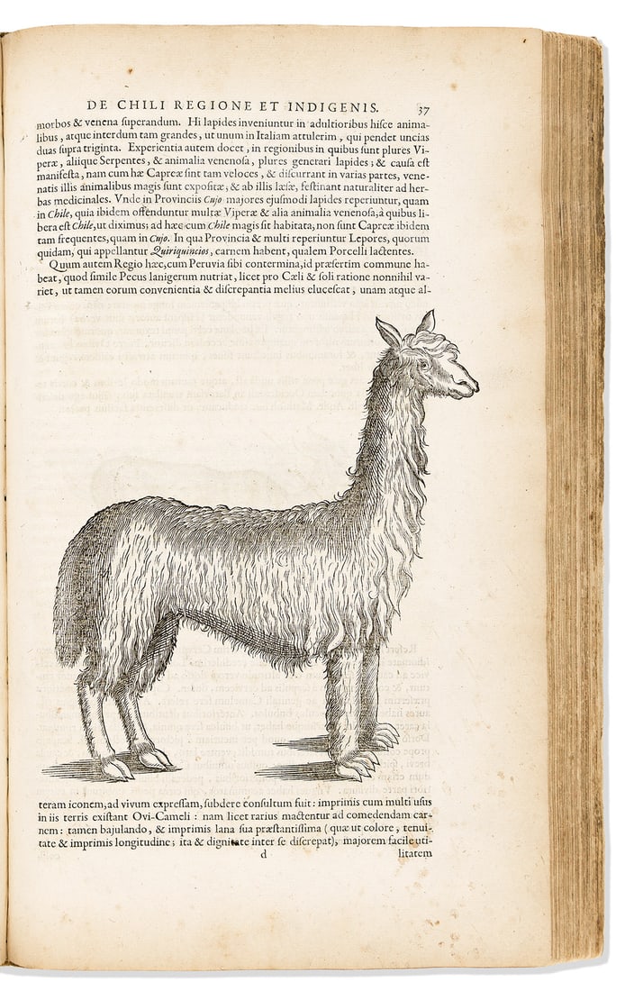 Piso, Willem; Georg Markgraf; & Jacob de Bondt. Indiae Utriusque Re Naturali et Medica. (1 of 5)