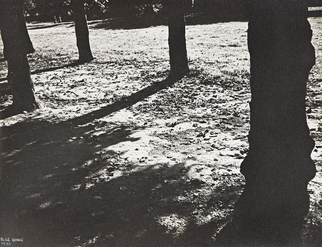 ILSE BING (1899-1998) Blérancourt Tree Shadows. 1933.: ILSE BING (1899-1998) Blérancourt Tree Shadows. 1933. Silver print, the image measuring 8½x11 inches (21.6x27.9 cm.), the mount 13¾x16¾ inches (34.9x42.6 cm.), with Bing's signatur