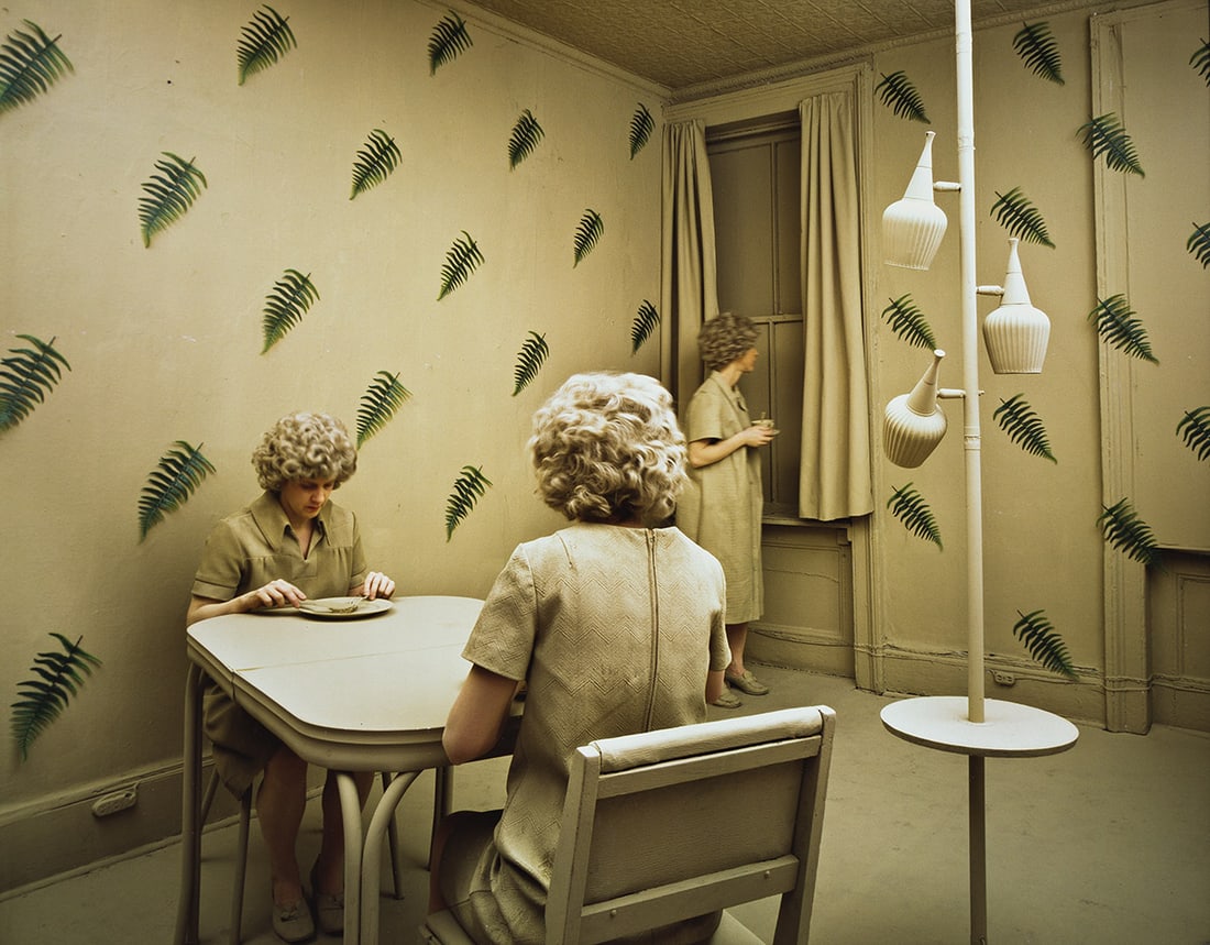 SANDY SKOGLUND (1946- ) Ferns. 1980.: SANDY SKOGLUND (1946- ) Ferns. 1980. Cibachrome print, the image measuring 15¾x20 inches (40x50.8 cm.), the sheet 20x24 inches (50.8x61 cm.), with Skoglund's signature, title, date, edition notat