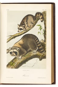 (ANIMALS.) John James Audubon. The Quadrupeds of North America.