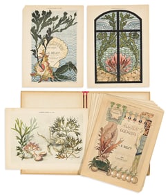 (ART NOUVEAU -- SEA LIFE.) Emile Belet. La Vegetation Sous Marine. Algues et Goemons.