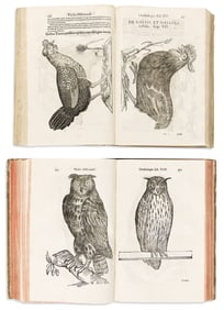(BIRDS.) Ulisse Aldrovandi. Two seventeenth-century woodcut-illustrated ornithological volumes.