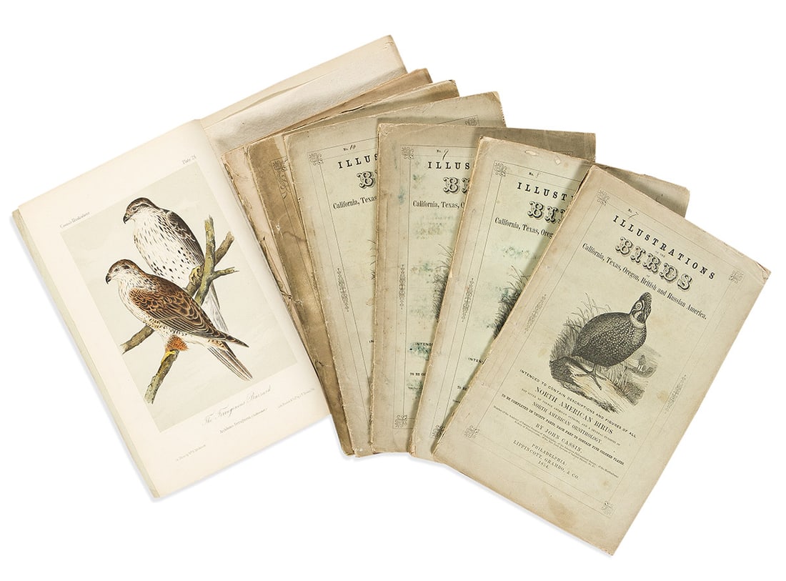 (BIRDS.) John Cassin. Illustrations of the Birds of California, Texas, Oregon, British and Russian (1 of 1)