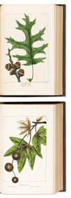 (BOTANICAL.) Francois Andrew Michaux; and Thomas Nutta The North American Sylva;