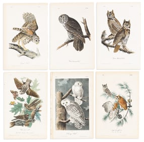 (BIRDS.) John James Audubon. Group of 6 hand-colored lithographs from the first octavo edition of