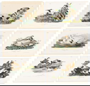 (BIRDS.) John James Audubon. Group of 6 hand-colored lithographs from the first octavo edition of