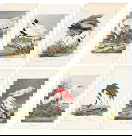 (BIRDS.) John James Audubon. Group of 6 hand-colored lithographs from the first octavo edition of
