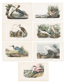 (BIRDS.) John James Audubon. Group of 7 hand-colored lithographs from the first octavo edition of